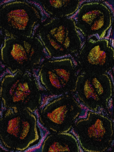 Organic Diffusion #10
